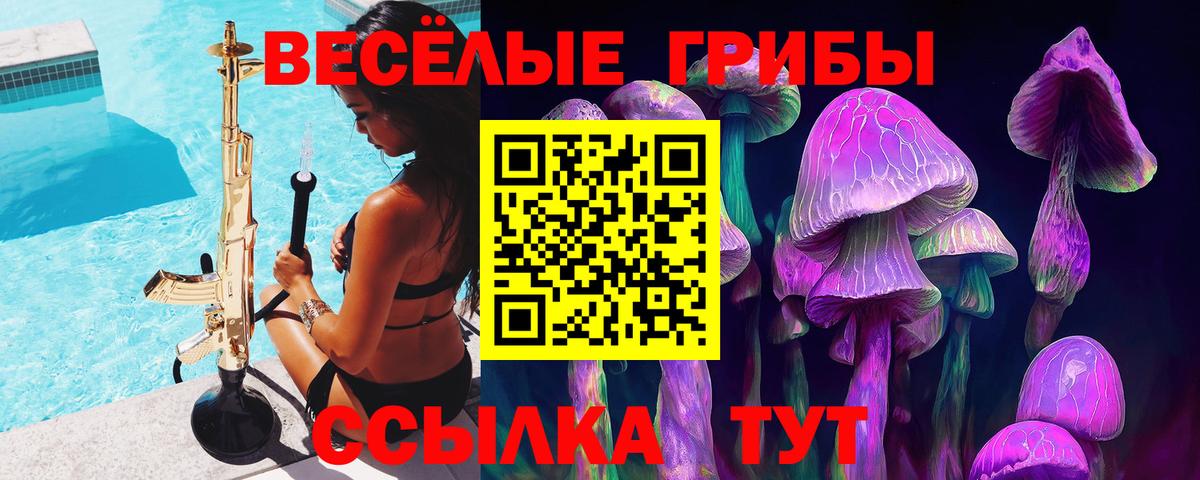 Псилоцибиновые грибы Cubensis  Галлюциногенные грибы Psilocybine cubensis  Зеленокумск  Вход с VPN 
